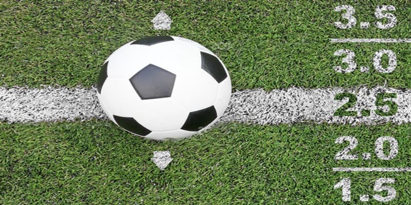 Cập Nhật Tỷ Lệ Kèo Bóng Đá Hôm Nay Nhanh Chóng Tại Ww88 Cách xem, phân tích tỷ lệ kèo bóng đá hôm nay