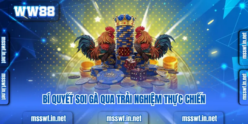 Vảy Án Thiên - Bí Quyết Nhận Diện Và Giá Trị Trong Đá Gà Bí quyết soi gà qua trải nghiệm thực chiến