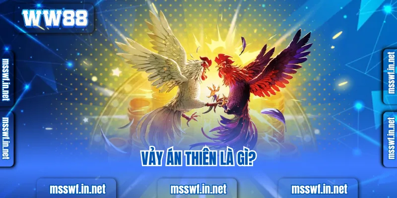 Vảy Án Thiên - Bí Quyết Nhận Diện Và Giá Trị Trong Đá Gà Vảy án thiên là gì?